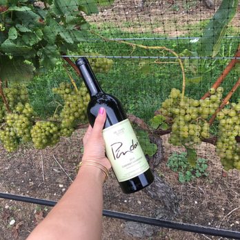 Pindar Vineyards - Wineries Near Me - Peconic, New York Pindar Vineyards - Wineries Near Me - Peconic, New York