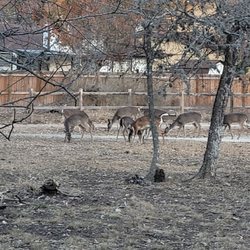 Raymond Rimkus Park