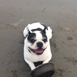 Tugboat at Kennebunk's Gooches Beach! I am healthy thanks to KVH!