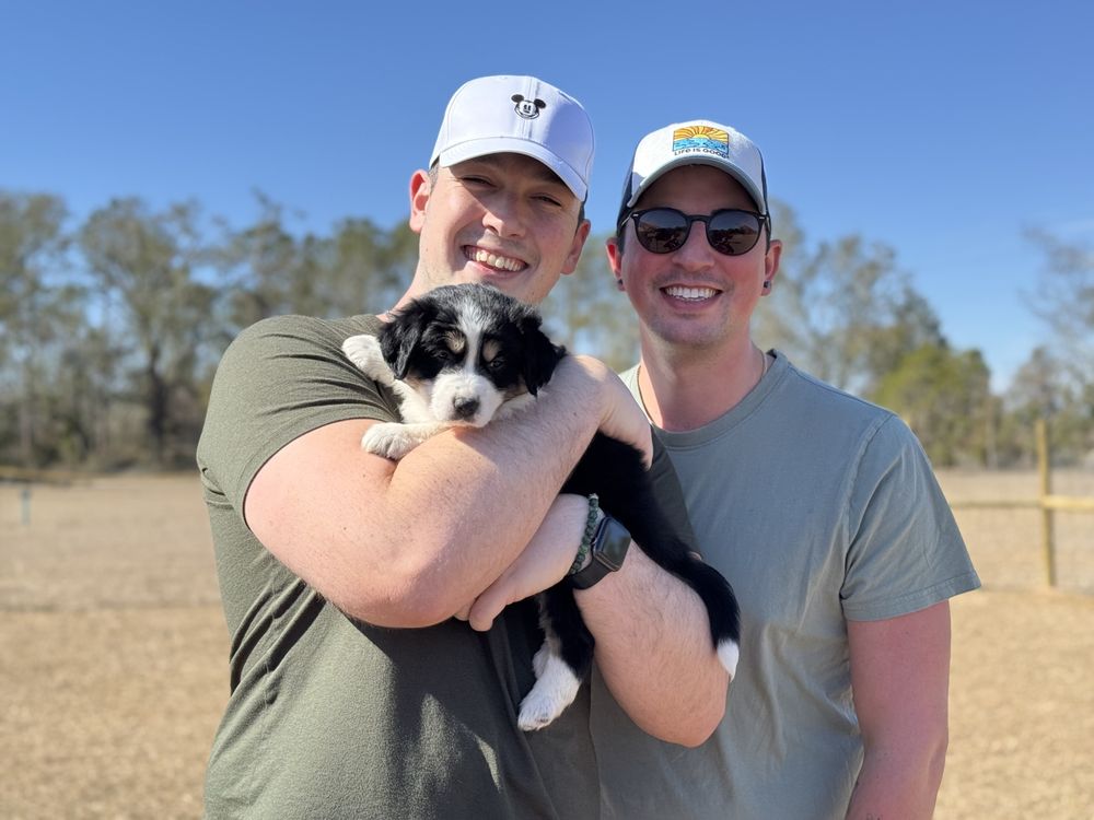 Doggie Dude Ranch Image