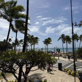Lulu's Waikiki - Burgers Near Me - Honolulu, Hawaii