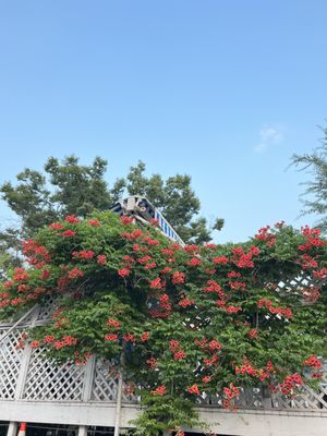 Elias Corner by null