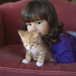 Petland - Awww. A young kid with a cute kitten. Both are adorable.