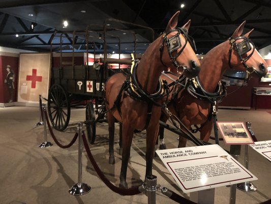 US Army Medical Department Museum by null