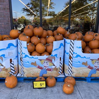 Safeway - Pumpkins.. - Grocery Near Me - Alameda, California