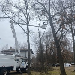 Maxon's Tree Service - Professional