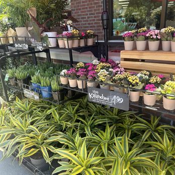 Trader Joe's - Grocery Near Me - Mt. Pleasant, South Carolina