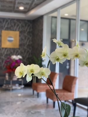 Come visit us! - I have been a manicurist for over 15 years and built my salon from a tiny little station I rented into a bigger salon to offer quality service to my customers.