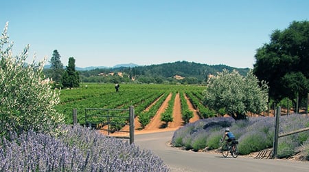 Getaway Adventures/Wine Country Bikes by null