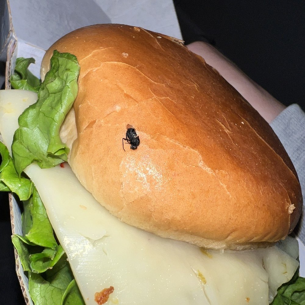Chick-fil-A - Bug deeply imprinted on Spicy Deluxe Sandwich - Fast Food Near Me - Irvine, California