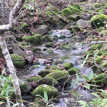 Trione-Annadel State Park - Parks Near Me - Santa Rosa, California Trione-Annadel State Park - Parks Near Me - Santa Rosa, California