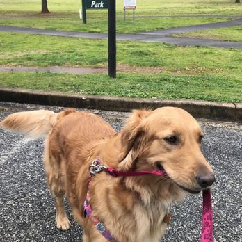 Walter Elisha Park - Cali ready for her walk. - Parks Near Me - Fort Mill, South Carolina