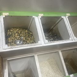 Northwest Feed & Grain - Bird seed