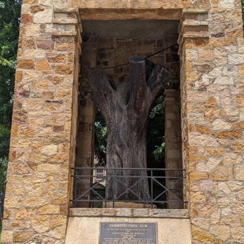 Constitutional Elm Stump - Landmarks & Historical Buildings Near Me - Corydon, Indiana