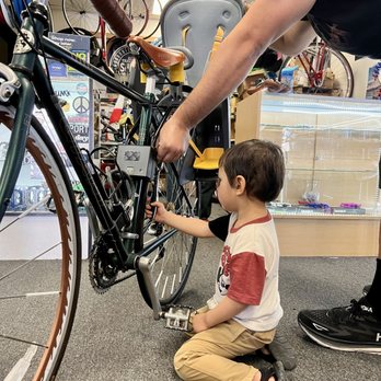 Frank's Bicycles - Patience is a virtue, and Vinnie's got it! - Bikes Near Me - Long Beach, California Frank's Bicycles - Patience is a virtue, and Vinnie's got it! - Bikes Near Me - Long Beach, California