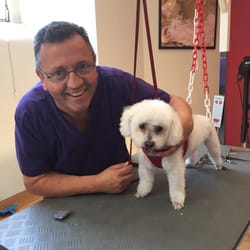 O Prazer do Cão - Jean-Claude and a well-groomed doggie!