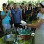 Photo of Coop. Agricola LE Colline di Sorrento