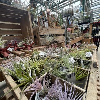 Caans - Florists Near Me - Sheboygan, Wisconsin Caans - Florists Near Me - Sheboygan, Wisconsin