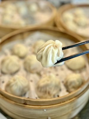 Sammi & Soupe Dumpling - (Ste-Catherine St. O) by null