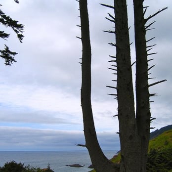 Ecola State Park - Parks Near Me - Cannon Beach, Oregon Ecola State Park - Parks Near Me - Cannon Beach, Oregon