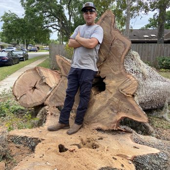 Mz Outdoor Services - Tree Services Near Me