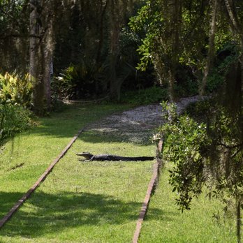 Mepkin Abbey - Churches Near Me - Moncks Corner, South Carolina