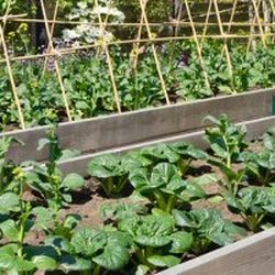 Miller Plant Farm