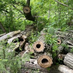 Lowville Park