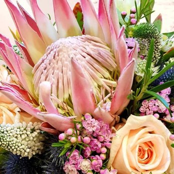P'ti fleur Lüder - Protea King afrikanische Nationalblume - Florists Near Me - Mannheim, BW