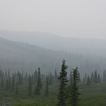 Denali Tundra Wilderness Bus Tour - The scenery on our tour.  That haze is actually smoke from a fire just north of the park. - Bus Tours Near Me - Denali, Alaska