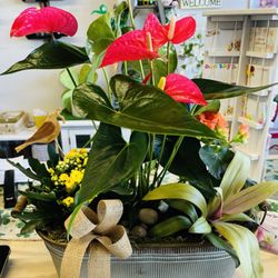Abbee's Floral - An example of a potted arrangement!