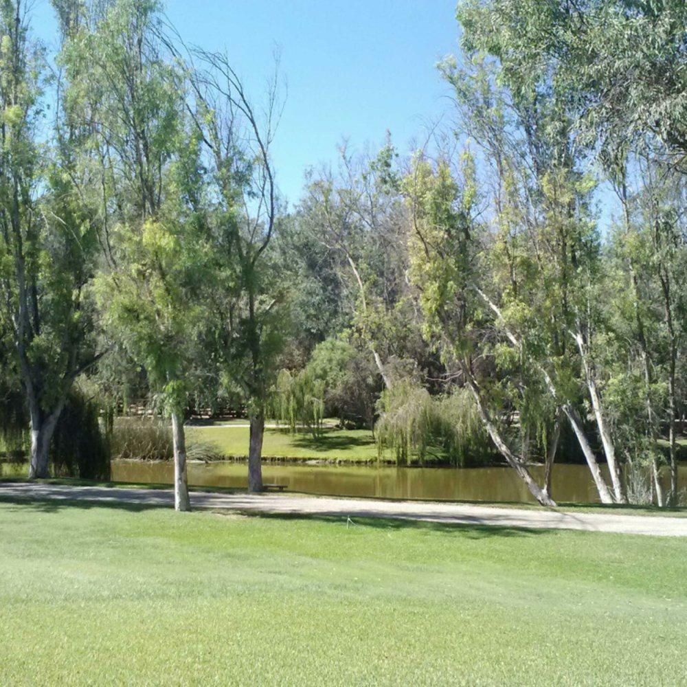 Horsemanship Academy - The new property-- lovely! - Horseback Riding Near Me