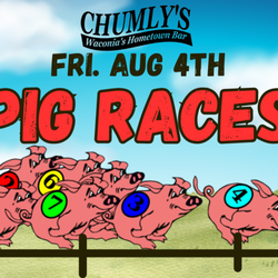 Chumly’s Bar - Pig Races Friday Aug 4th