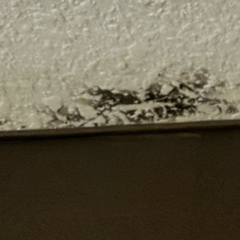 Best Western Plus Olathe Hotel - Mold on ceiling! Co planned to the front desk! They said " oh that ok!" - Hotels Near Me - Olathe, Kansas