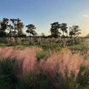Brownie Wise Park - Parks Near Me - Kissimmee, Florida
