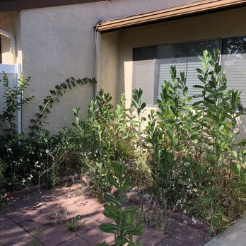 SGV Gardener - Welcome to the jungle - Gardeners Near Me SGV Gardener - Welcome to the jungle - Gardeners Near Me