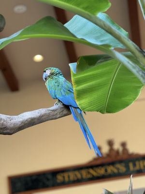 Grand Hyatt Kauai Resort & Spa by null