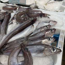 Continente - Fresh seafood