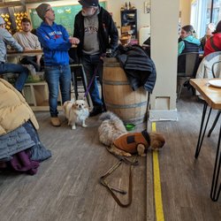 Fattey Beer - Dogs getting lots of attention.