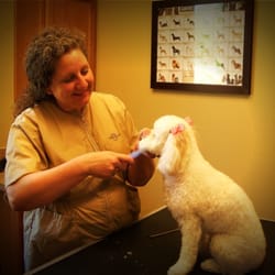 Stonebridge Veterinary Hospital - Suzie Baker is our professional groomer.