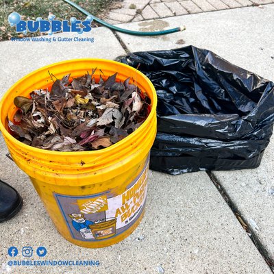 BUBBLES WINDOW WASHING & GUTTER CLEANING - Updated January 2025 - 31