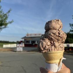 The Barn Icecream - Baby size chocolate toasted coconut