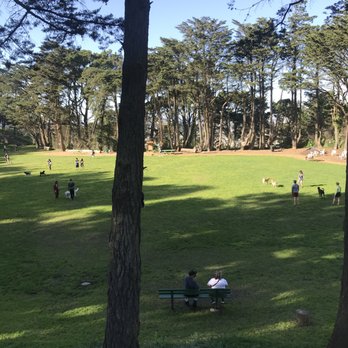 Upper Douglass Dog Park - View from the trail around the park. - Dog Parks Near Me - San Francisco, California Upper Douglass Dog Park - View from the trail around the park. - Dog Parks Near Me - San Francisco, California