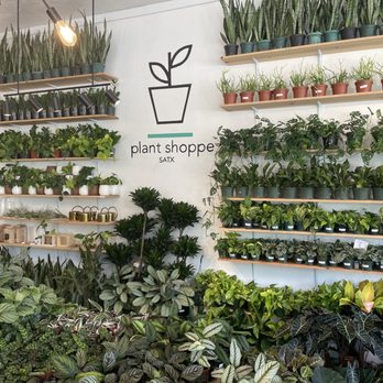 Plant Shoppe - Nurseries & Gardening Near Me - San Antonio, Texas Plant Shoppe - Nurseries & Gardening Near Me - San Antonio, Texas