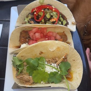 Flying Iguana - Carnitas, pork belly, steak taco - Latin American Near Me - Neptune Beach, Florida Flying Iguana - Carnitas, pork belly, steak taco - Latin American Near Me - Neptune Beach, Florida