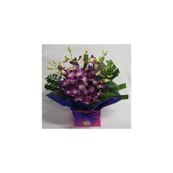 Watsonia Florist