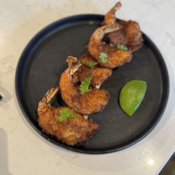 Black Hawk Brewery - Coconut shrimp - not spicy at all; sweet, tangy, crunchy, with a touch of pleasant heat. 5/5