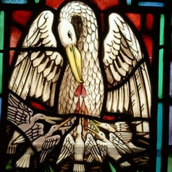 Our Lady of Sorrows Roman Catholic Church - The symbolism of the mother pelican feeding her little baby pelicans is rooted in an ancient legend which preceded Christianity.