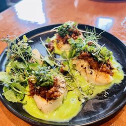 Mudtown Station - Seared scallops with chorizo and a chimichurri