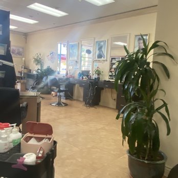 Top Hair-Nails - Nail Salons Near Me - Sunnyvale, California Top Hair-Nails - Nail Salons Near Me - Sunnyvale, California